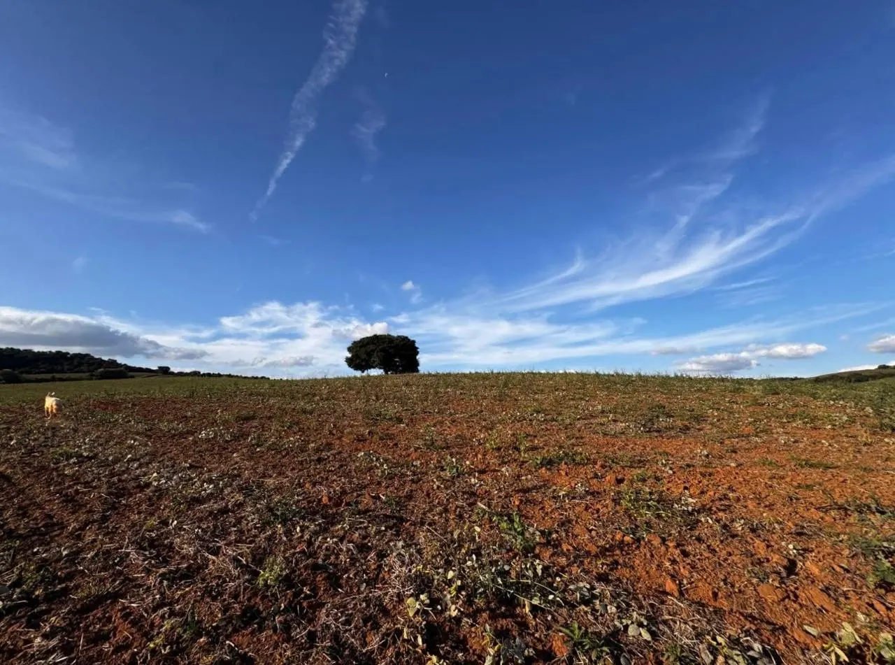 Fazenda em Centro - Conselheiro Lafaiete - Foto 5