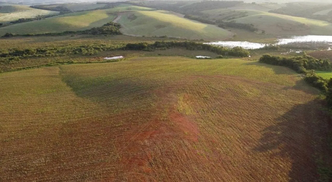 Fazenda em Centro - Conselheiro Lafaiete - Foto 4