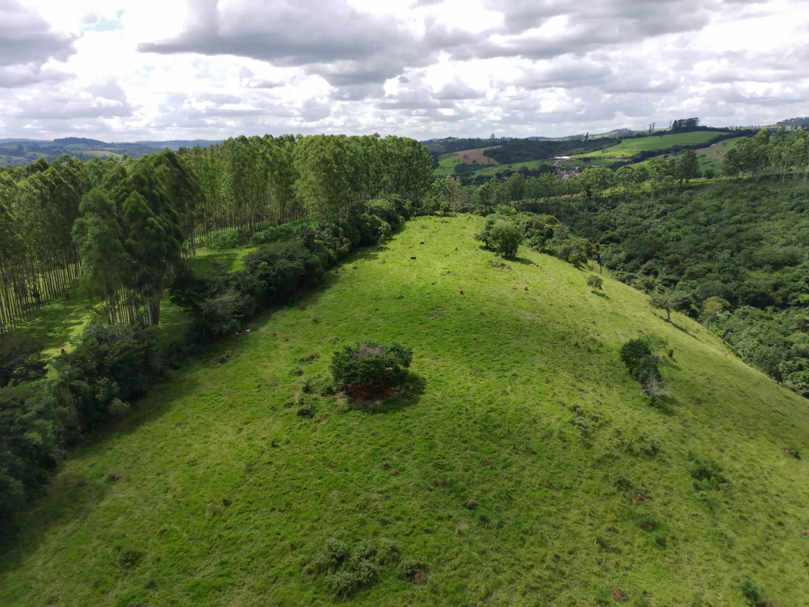Terreno em Area Rural - Coronel Xavier Chaves - Foto 4
