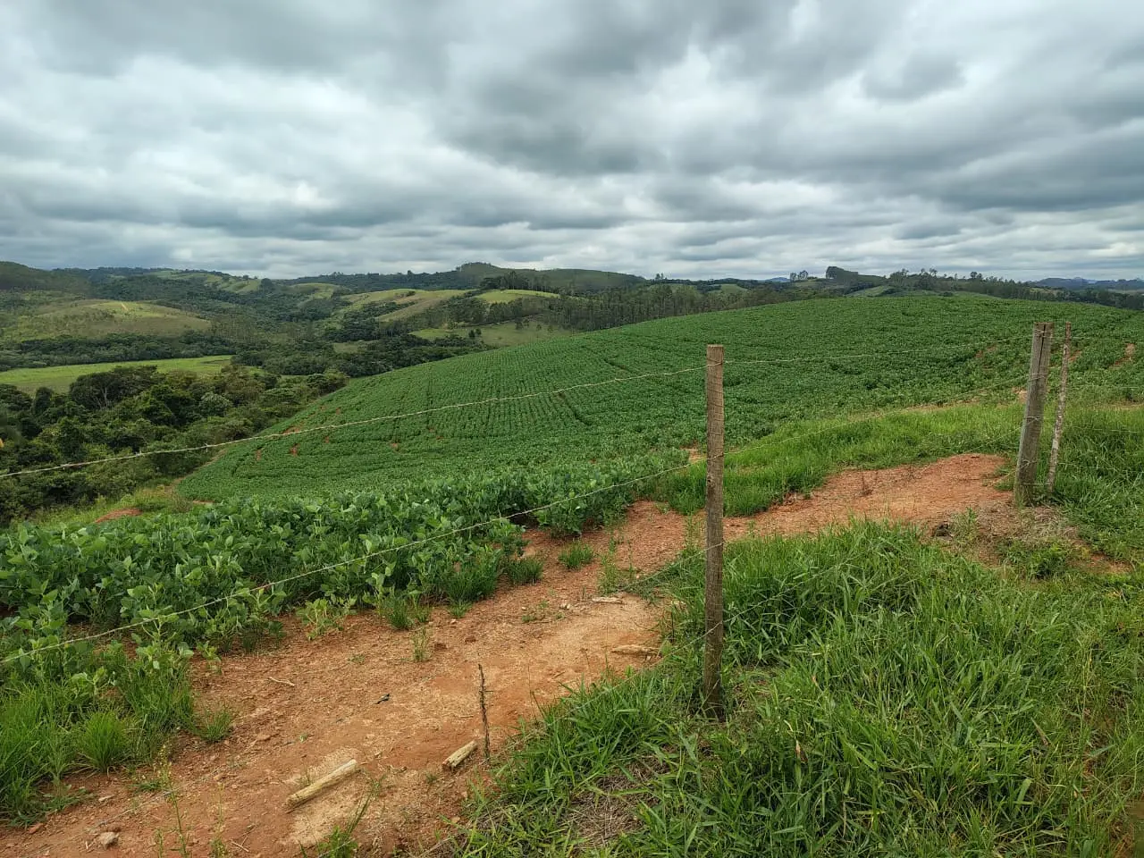 Fazenda em Centro - São Vicente de Minas - Foto 5