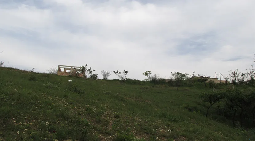 Foto 8