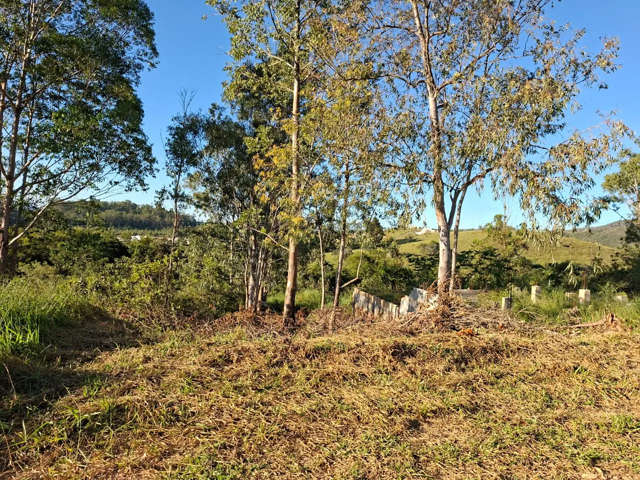Foto 2 do imóvel